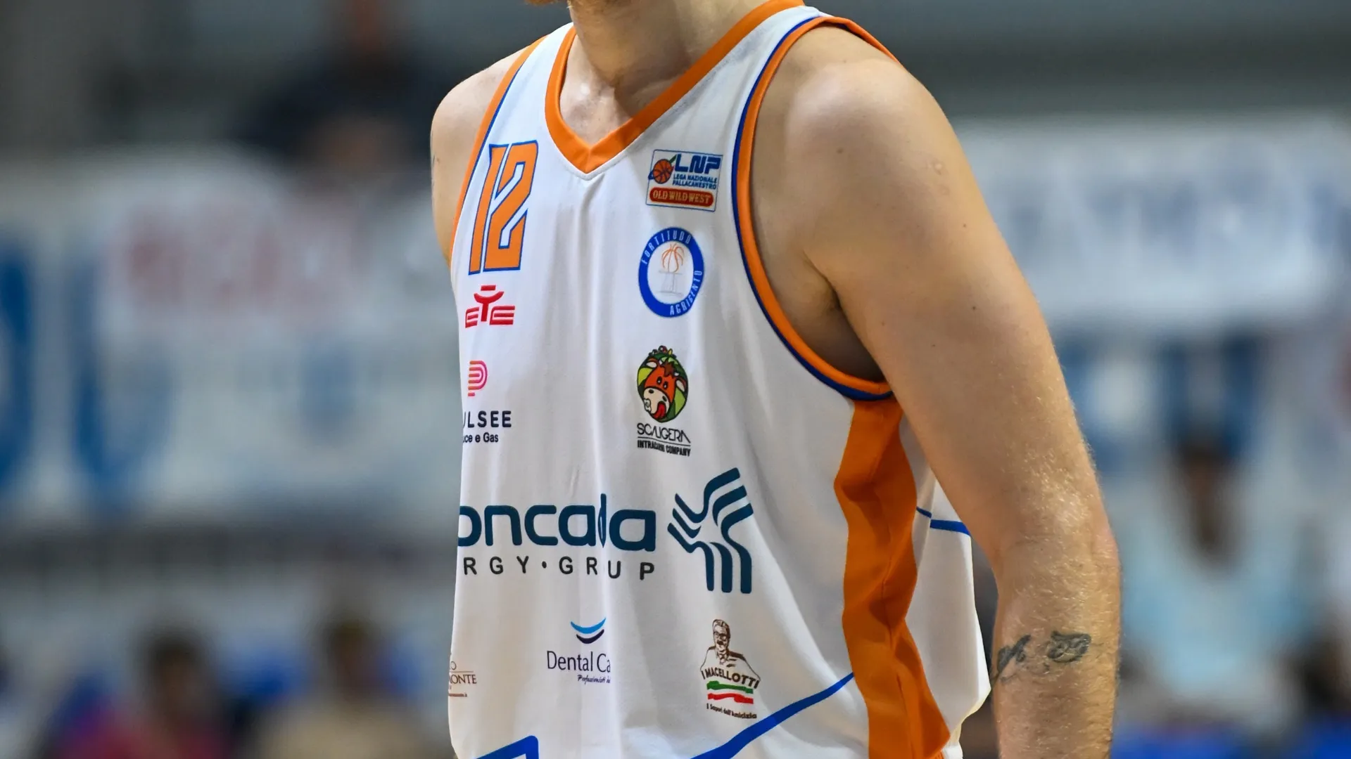 Galleria immagine 14